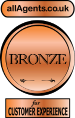 Bronze medal image