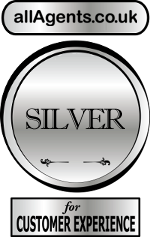 Silver medal image