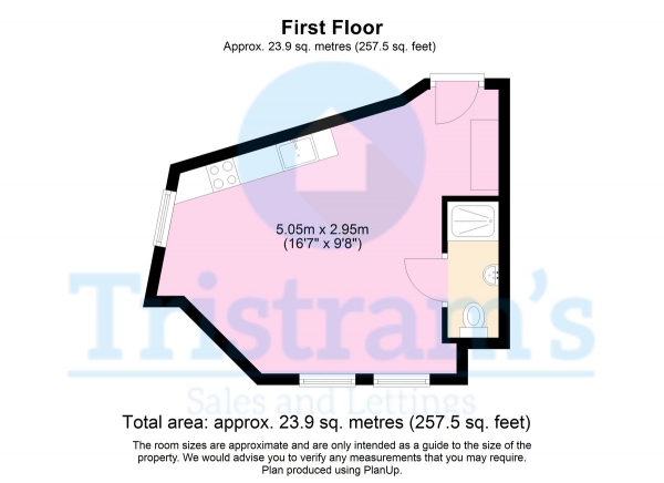 Floor Plan Image for 1 Bedroom Studio to Rent in Birkin Avenue, Radford