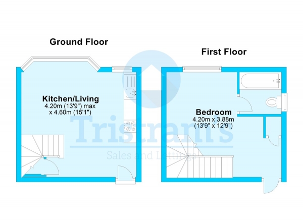 Floor Plan for 1 Bedroom Ground Flat to Rent in Nottingham Road, Nottingham, NG7, 7AH - £150 pw | £650 pcm