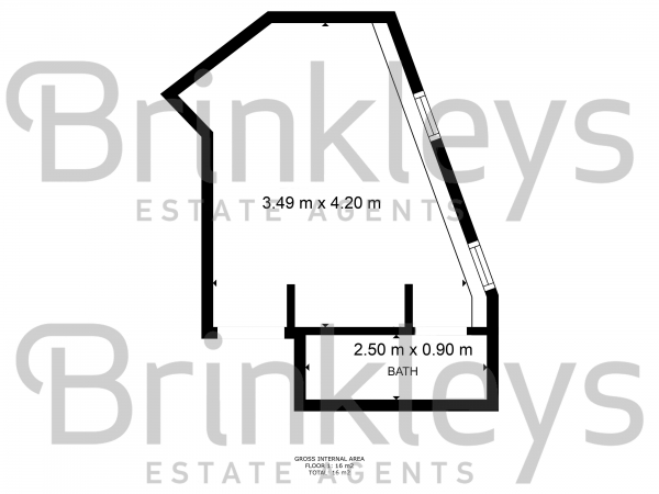 Floor Plan Image for Studio to Rent in Wimbledon Park Road, Southfields