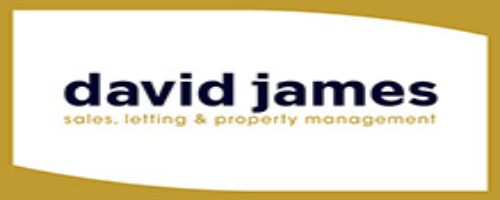 David James's Company Logo
