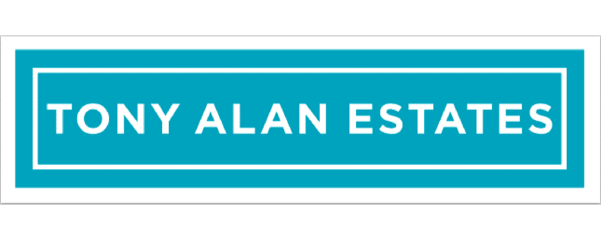 Tony Alan Estates's Company Logo